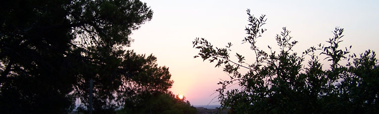 Fundación «CRECE desde el Centro»