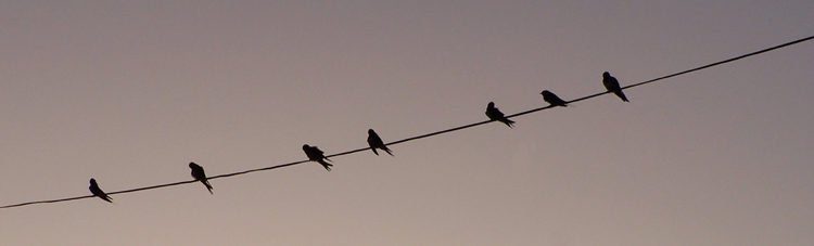 Fundación «CRECE desde el Centro»