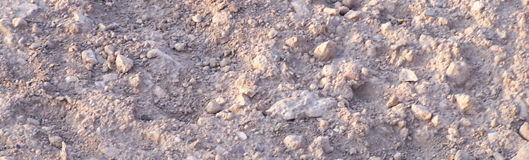 Fundación «CRECE desde el Centro»